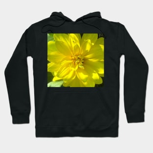 Sunshine of the Yellow Dahlia Flower Hoodie